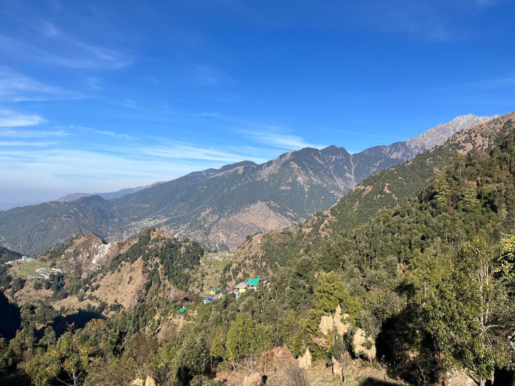 Pine Cottage McLeod Ganj Ngoại thất bức ảnh